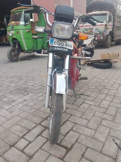 MS