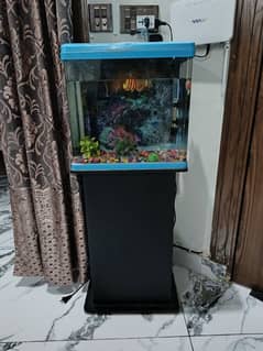 aquarium medium size