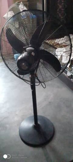 3 month used