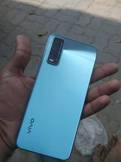 vivo
