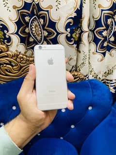 Iphone 6