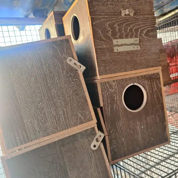 cocktail parrot Boxes used 16 pieces complete set boxes cage