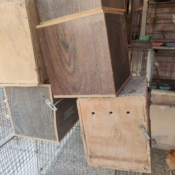 cocktail parrot Boxes used 16 pieces complete set boxes cage — photo 6