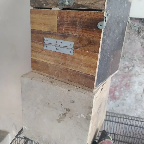 cocktail parrot Boxes used 16 pieces complete set boxes cage — photo 8