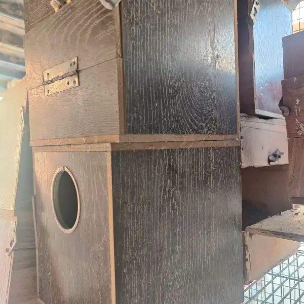 cocktail parrot Boxes used 16 pieces complete set boxes cage — photo 12