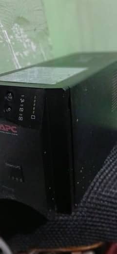 APC American 100% genuine  cheap price