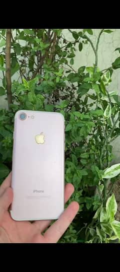 03445864095