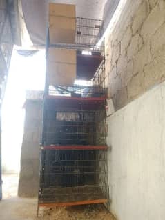 Folding Cage