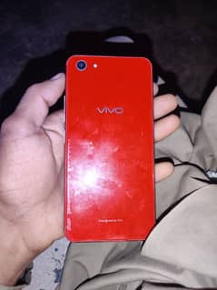 vivo