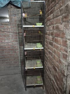 Cage/ Pinjra+6 breeding box+drinker & dana pots