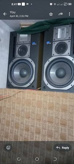 pioneer speaker