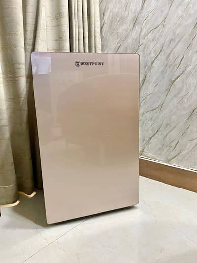 Room Refrigerator in mint condition (West Point)