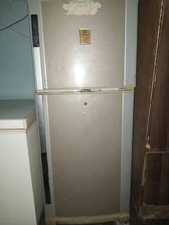 Fridge