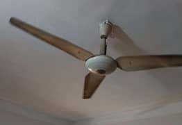Pak fans NO AC DC