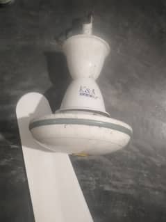 fan