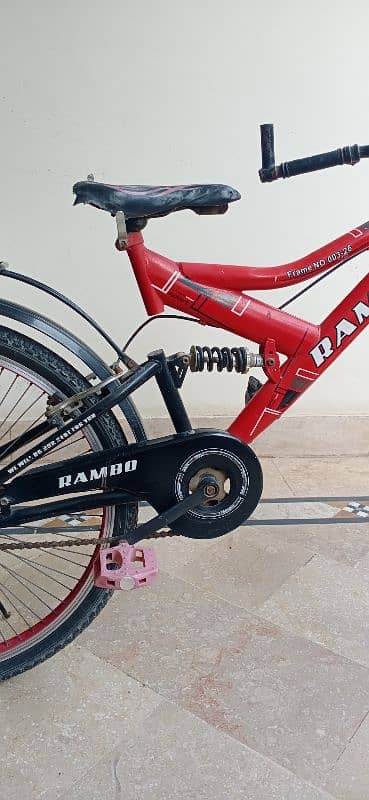 spring cycle with shocks 1