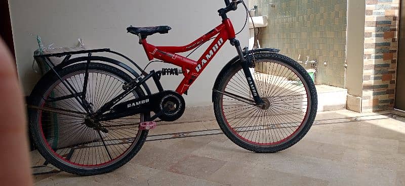 spring cycle with shocks 6