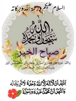  Muhammad .Z