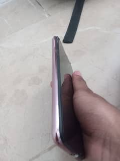 ram