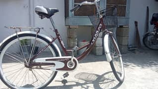 japani cycle