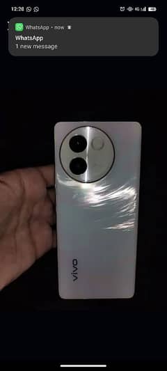 vivo