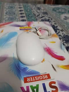 mouse