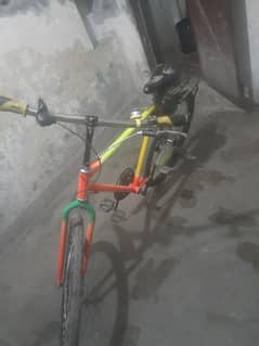 phonix