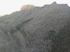 Coal
