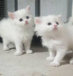Fluffy