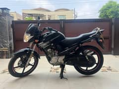Yamaha YBR 125 2017