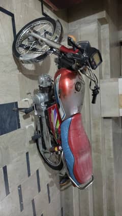Union Star 70cc 2019
