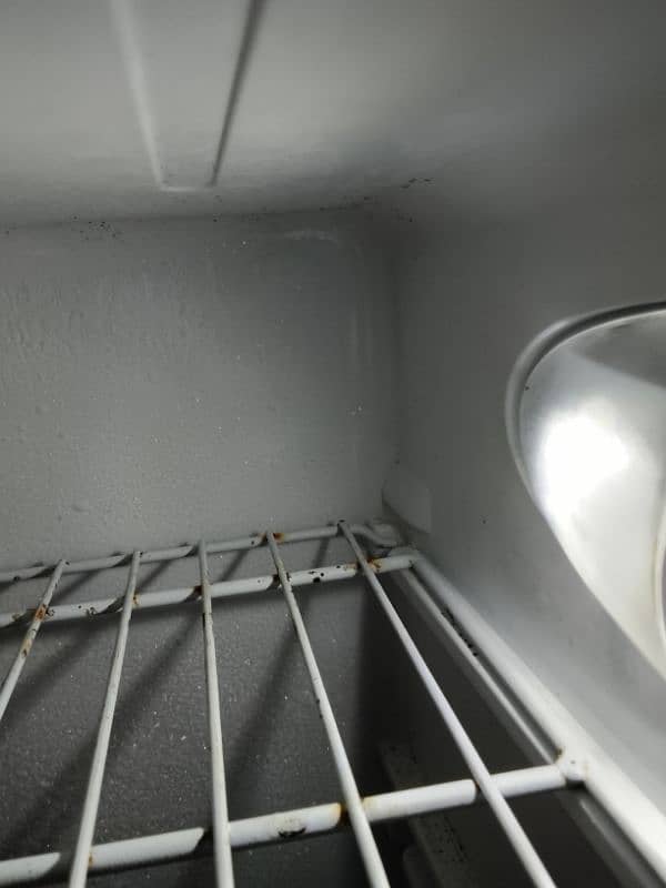 Fridge 3