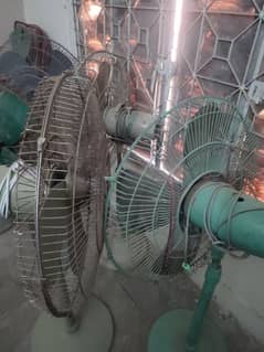 five Pedestal Fans