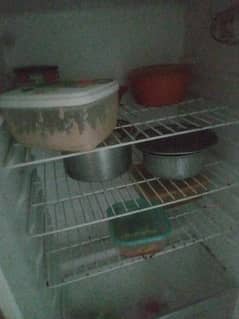 hair fridge for sale