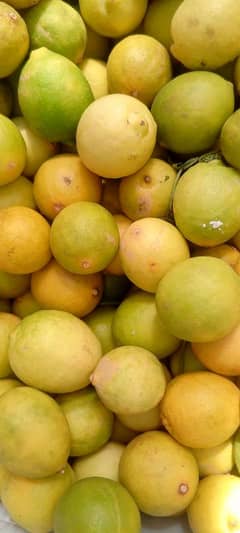 Free Delivery All Vegetables available mandi Rate Bulk Quantity