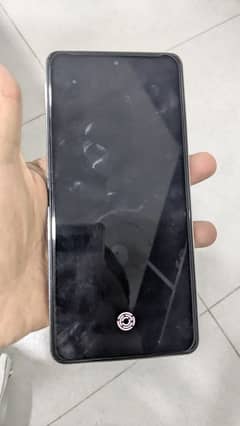 camon