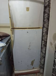 Dawlance Double Refrigerator