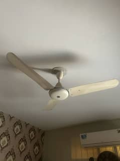 Fan for Sale