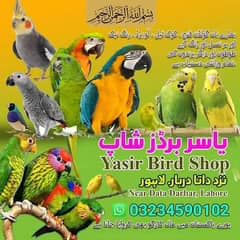 parrots available in all breeds and different varieties