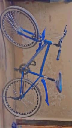 new cycle 5 month used in low price