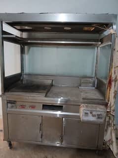 Total Steel Body Fryer