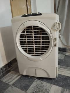 Brighto model 2020