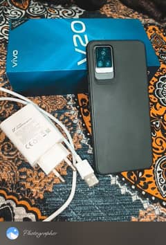 VIVO