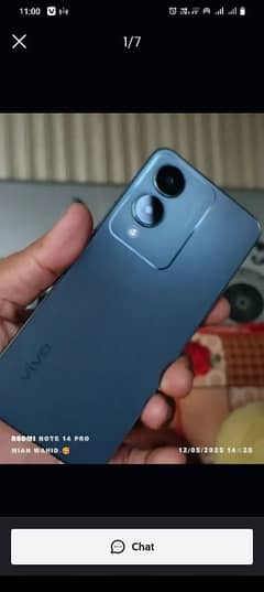 Vivo