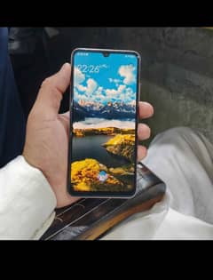vivo