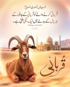 book kahsai.
