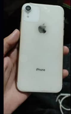 iPhone xr