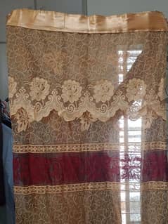 3 net curtains beautiful fresh golden red colour