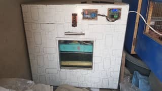 incubator for sale