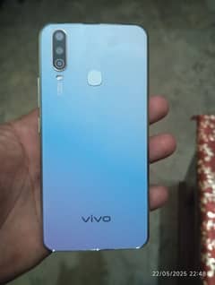 vivo